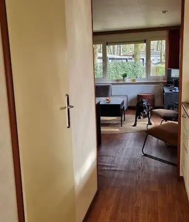 Huis Nabij Bos I Ontspan In De Natuur Hoenderloo Esterno foto